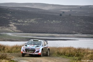 FIA WORLD RALLY CHAMPIONSHIP 2014 -Wales Rally GB (GB) -  WRC 13/11/2014 to 16/11/2014 - PHOTO :  @tWorld